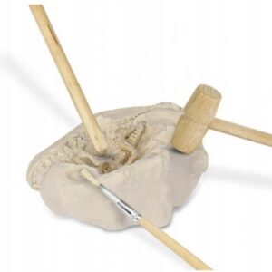 ZESTAW Wykopaliska DINOZAURY ARCHEOLOG 5w1 ZABAWKI dla DZIECI na Prezent